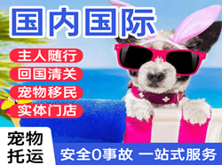 丹东航空空运国际宠物托运 【国